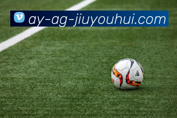 AG九游会官网全站App