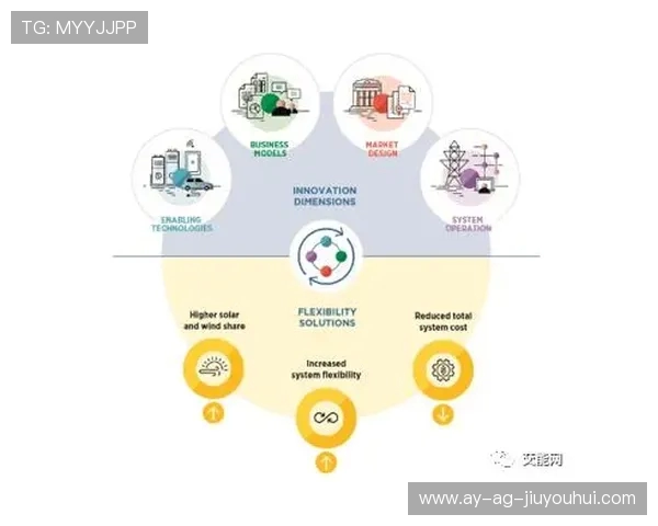 围绕法国足球专业发展路径的多维度深度探索与实践创新视角分析篇